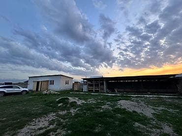 Продажа домов: Сарай эки болболу уйу менен сатылат 
Талас — 6