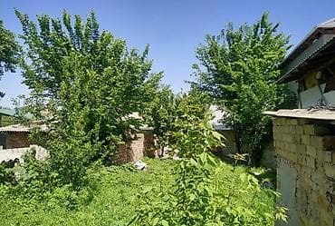 село алексеевка: 3 комнаты, 55 м², 1 этаж — 2