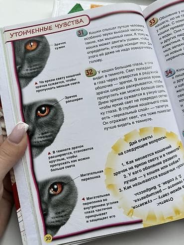 катя петя: Две книги за 500 
Детские книги — 5