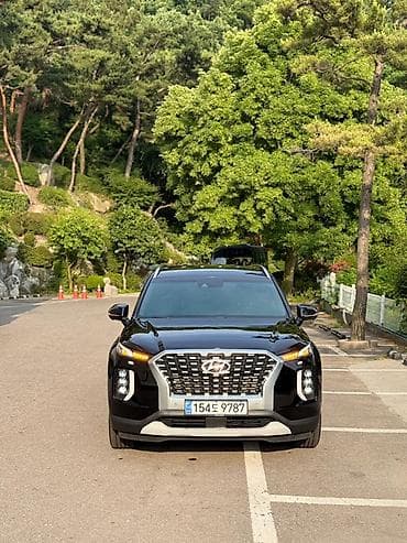 360: Hyundai Palisade: 2020 г., 2.2 л, Автомат, Дизель, Кроссовер — 1