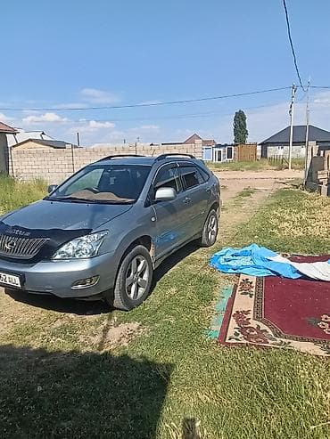 lexus 700: Lexus RX: 2004 г., 3.3 л, Автомат, Газ, Кроссовер — 4