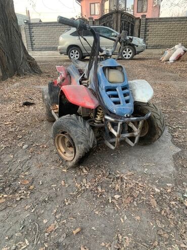 питбайк дедский: Мини-квадроцикл (детский/подростковый), бензиновый. Описание и — 2