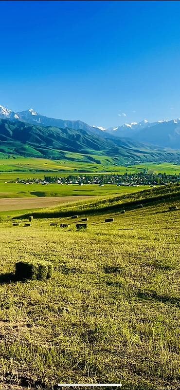 село чон таш: 8 соток — 5
