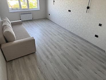 kant flat: 1 комната, Собственник, С мебелью частично — 4