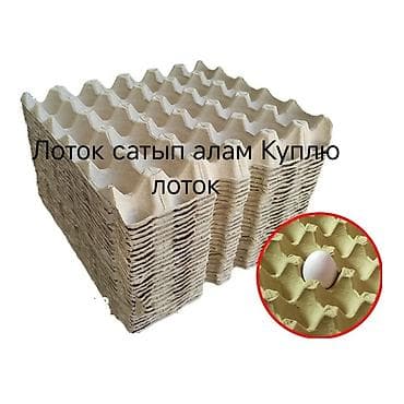лоток яиц: Ящик — 1
