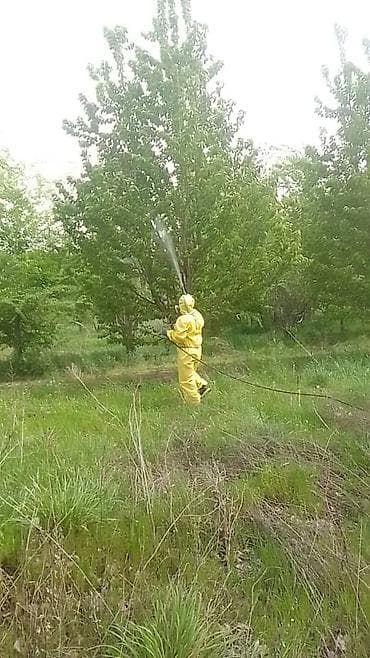 костюм nike: Дезинфекция, дезинсекция — 3