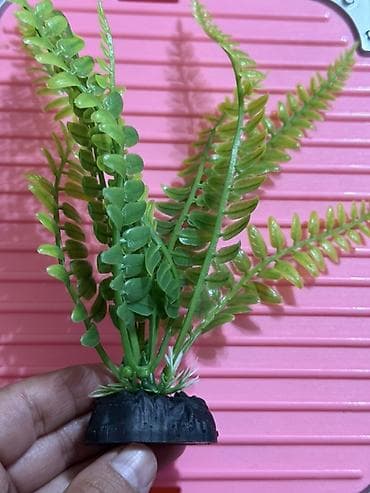 аквариум без рыб: Набор декоративных растений для аквариума (искусственные) - — 7