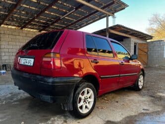 с связи с переездом: Volkswagen Golf: 1994 г., 1.6 л, Механика, Бензин, Хэтчбэк — 2