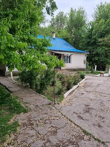 пустые земельные участки: Просторный участок с домом и хозяйственными постройками в зеленой зоне — 6