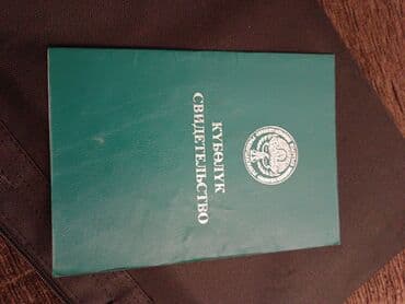мурас ордо дома: 244 соток, Айыл чарба үчүн, Сатып алуу-сатуу келишими — 1