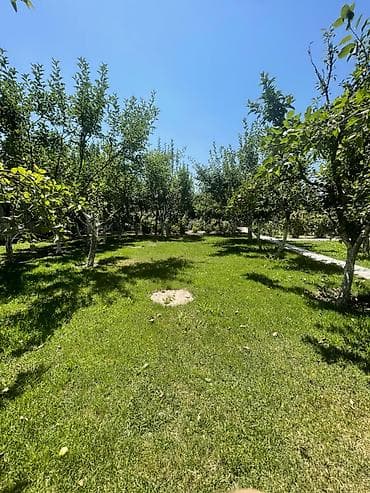 Дома: 🏡 Продается дом в селе Новопокровка ✨ Просторный дом для большой семьи — 3