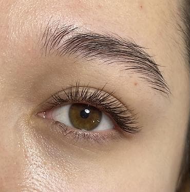 кой бишкек: Кирпиктер, Классика, 2D, 3D, Үйүнө баруу менен, Консультация, Гипоаллергендик материалдар — 8