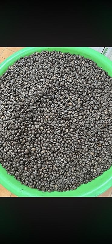 обжарка: 🔥 BLACK COFFEE SNG Прямые поставки кофе из Вьетнама 🇻🇳 Без посредников — 6