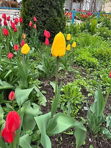 письменные столы бишкек: Самовывоз — 6