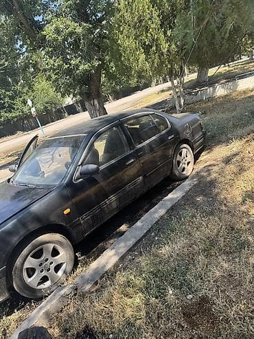 Продажа авто: Nissan Maxima: 1995 г., Автомат, Бензин — 3