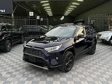 Toyota RAV4: 2020 г., Гибрид, Кроссовер