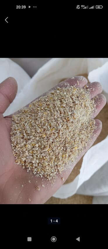 купить измельчитель травы и сена: Адрес село Сосновка возле дороги Бишкека Ош Оптом и розницу!!! — 2