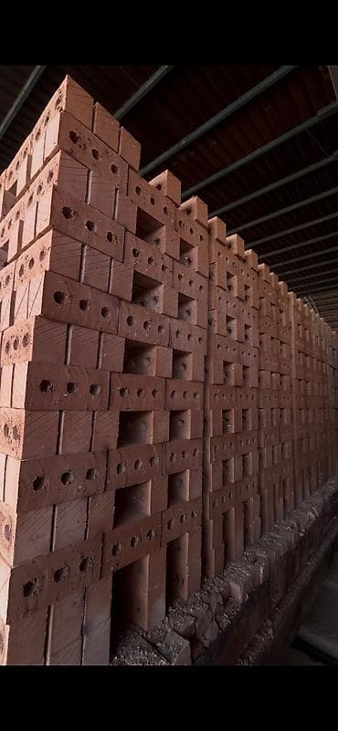 Промышленная химия: Пустотелый, дырчатый, Жженый кирпич, Полублок, 250×120×90 — 4