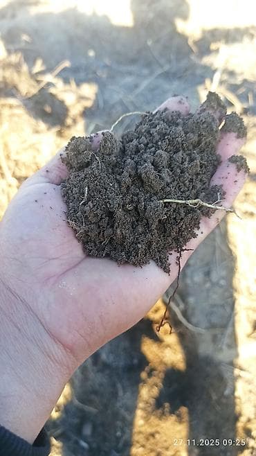 Доставка чернозёма самосвалами. - разовые и множественные рейсы. -