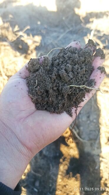 насос для полива поля: Доставка чернозёма самосвалами. - разовые и множественные рейсы. - — 2