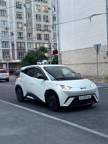 8900: BYD E2: 2024 г., Электромобиль, Хэтчбэк — 3
