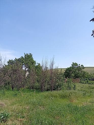 село нижний орок: 9 соток, Для строительства — 1