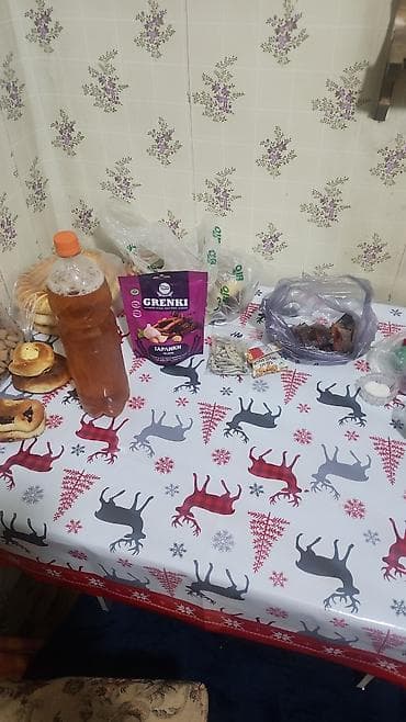 е34 дизель: Замена ремней, Услуги моториста, Ремонт двигателя, с выездом — 2