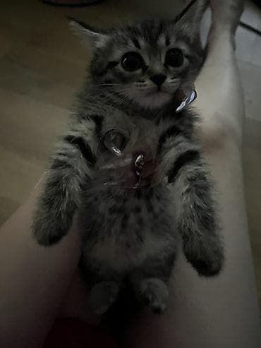2 месяца, Девочка