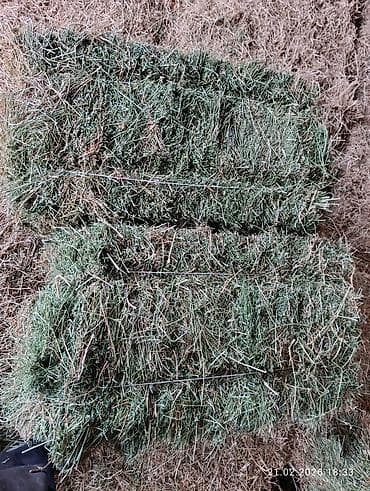 клевер туках: Тюки клевера, 2 гол, мелкий, чистый без сорняков. пресовали для себя — 1