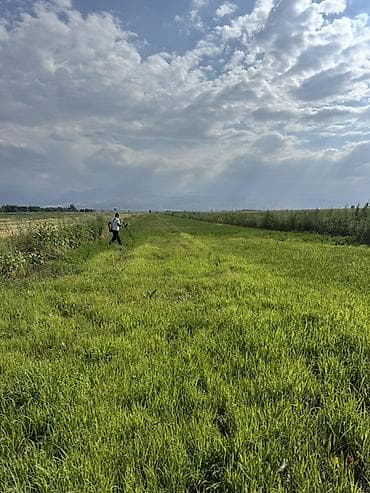 Продажа участков: 420 соток, Для сельского хозяйства — 1