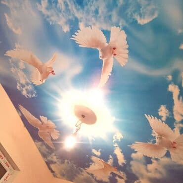 натяжные потолок ош: Натяжной потолок Глянцевое, Матовое, 3D потолки Бесплатный замер, Бесплатная консультация, Гарантия — 7