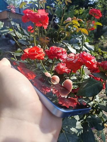 sky vision: Samsung Galaxy A25, Б/у, 256 ГБ, цвет - Голубой, 2 SIM — 3