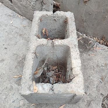 полублок: Шлакоблок (полый бетонный блок) с двумя продольными пустотами — 1