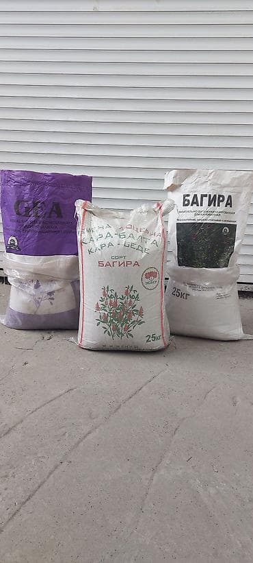 фермы арка: Беде Урук Беде Урук Семена люцерны. Малга тоют. 6жылдык беде — 9