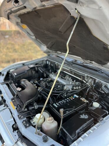 цены на электромобили в бишкеке: Mitsubishi Pajero: 2003 г., 3 л, Типтроник, Газ, Внедорожник — 17