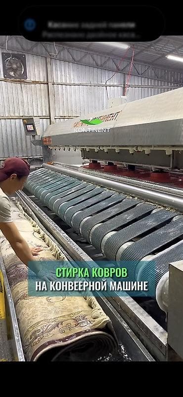 Клининг кызматтары: Килемдерди жуу, | Килем, Паластар, Акысыз жеткирүү — 4