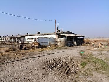 Сниму дом: Продается кошмара с жидым новым домом и всеми удобствами. Большая — 10