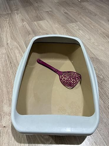 Лоток для кошки с совком - Открытый пластиковый лоток прямоугольной