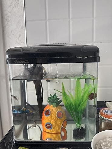 Животные: Аквариум 6 литров! - Компактный кубический аквариум XILONG с крышкой — 1