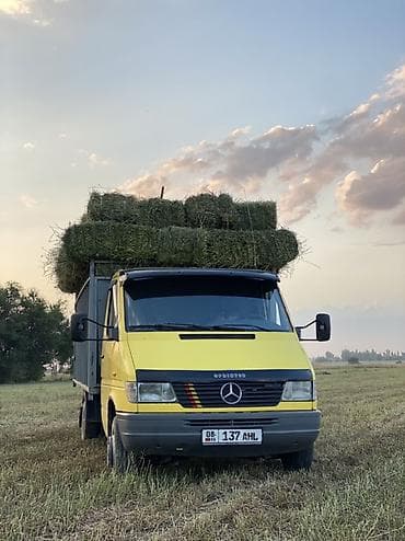 задний двер на спринтер: Грузовик, Mercedes-Benz — 1