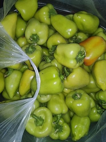 Продукты питания: Помидоры Красные, Оптом — 3