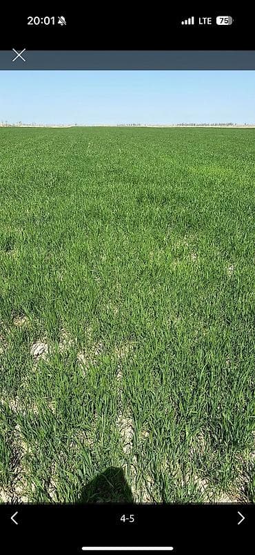 салон красоты продаю: 830 соток, Для сельского хозяйства — 5