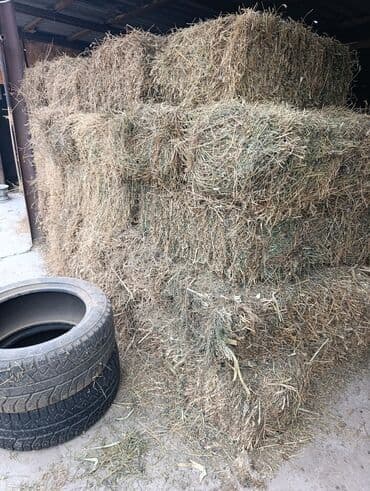 домик для кроликов: Сено в тюках - Формат: прямоугольные тюки, плотная прессовка, удобны — 2