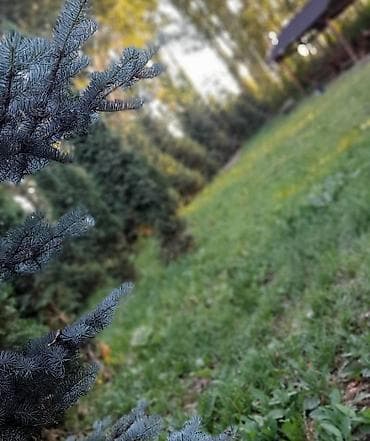 Недвижимость: 🌲 Зона отдыха "Фазенда"🌲 К вашим услугам мы предлагаем в аренду: ☀️ — 5