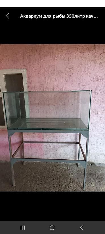 Кошки: Аквариум для рыб, объем около 350 л. Прямоугольная форма, прозрачные — 1
