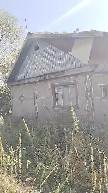 ыссык куль номера: Продается дом с приусадебным участком и госактом на право частной — 2