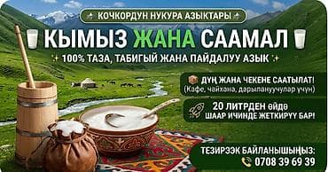 бал кымыз цена: Кымыз, саамал, Оптом, Платная доставка — 1