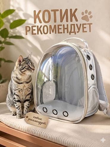 Продаю новую переноску-рюкзак «Иллюминатор» 🐾 ✨ Панорамное окошко —