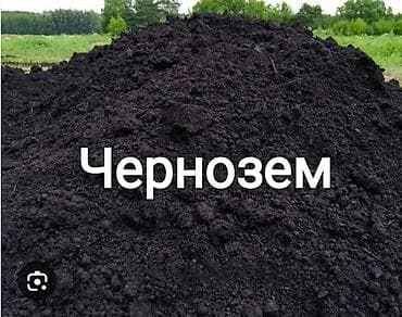 В тоннах, Бесплатная доставка, Портер