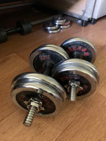 набор гантель в чемодане flexter: Гантели хромированные 10+10кг Цена 5000с Бесплатная доставка по — 1